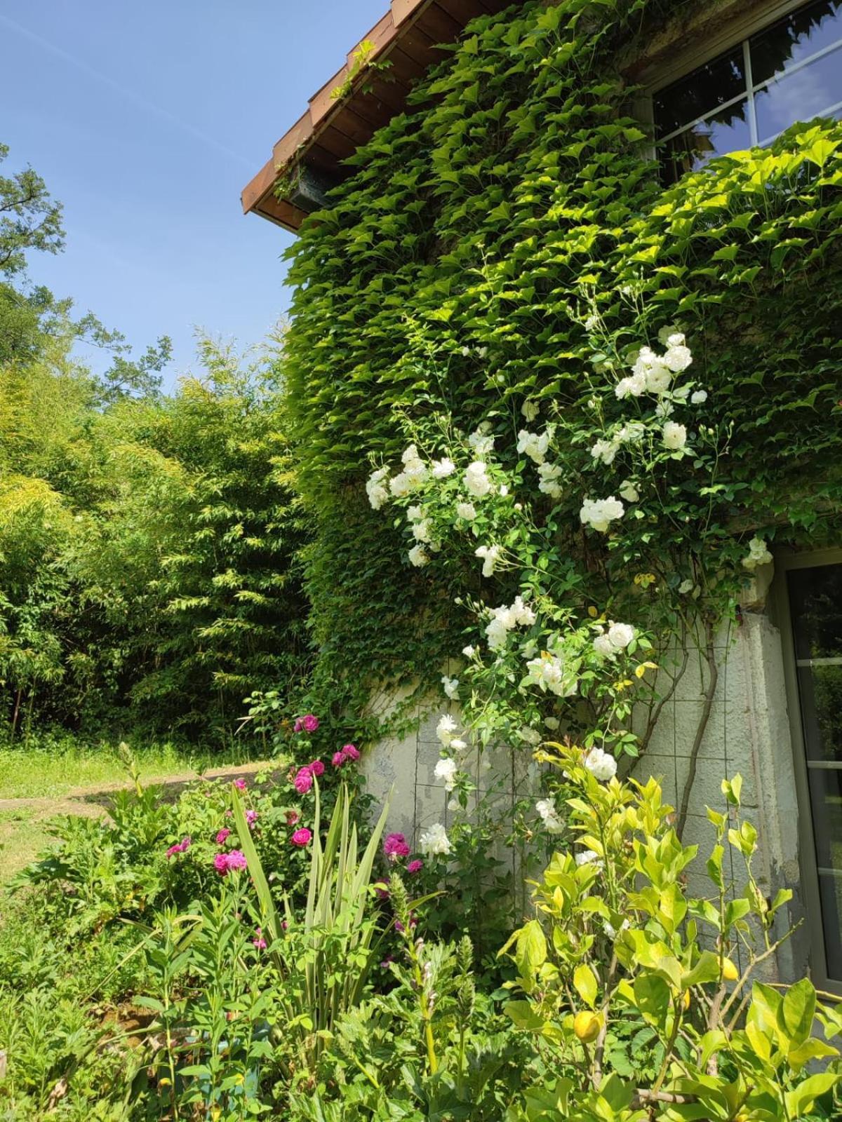 Chambre d'hôtes Le Moulin de Moulis Moulis-en-Médoc Exterior foto